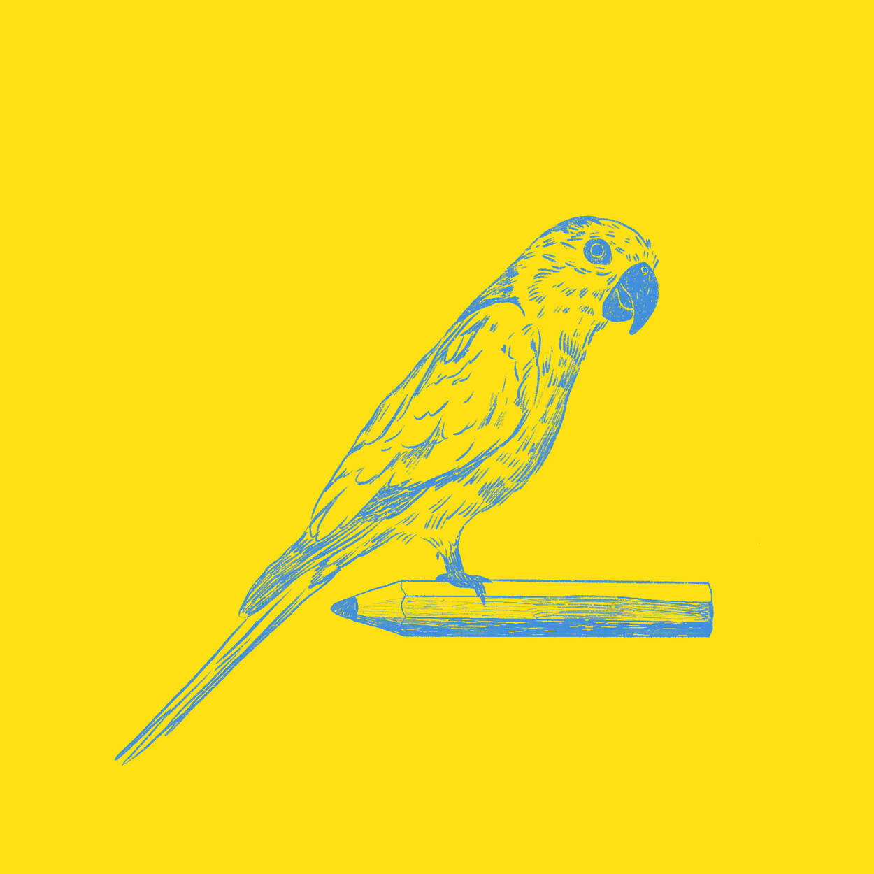 Aruba prikichi (blauw en geel)